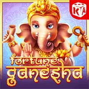 Giấy phép hoạt động